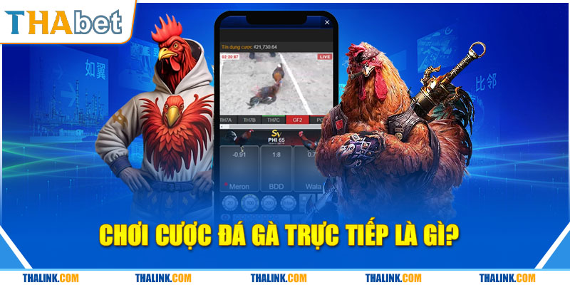 Đá Gà Trực Tiếp Và Kinh Nghiệm Chơi Thắng Mọi Kèo Hay Chơi Cược Đá Gà Trực Tiếp Là Gì?