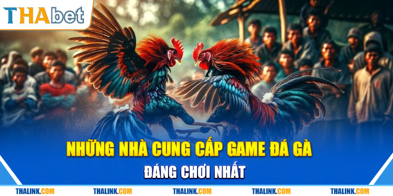 Đá Gà Trực Tiếp Và Kinh Nghiệm Chơi Thắng Mọi Kèo Hay Những Nhà Cung Cấp Game Đá Gà Đáng Chơi Nhất