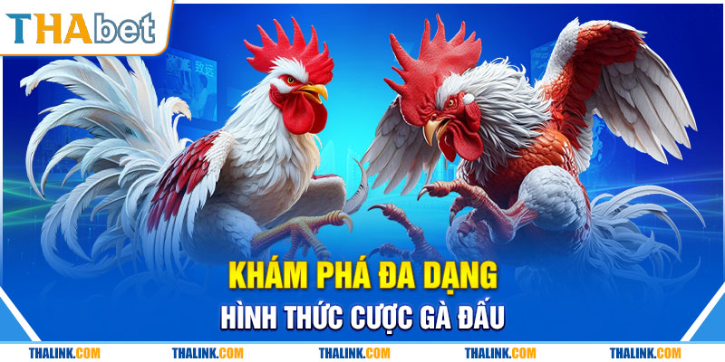 Sân Chơi So Kê Đá Gà Thabet Chất Lượng Bậc Nhất 2024 Khám phá đa dạng hình thức cược gà đấu
