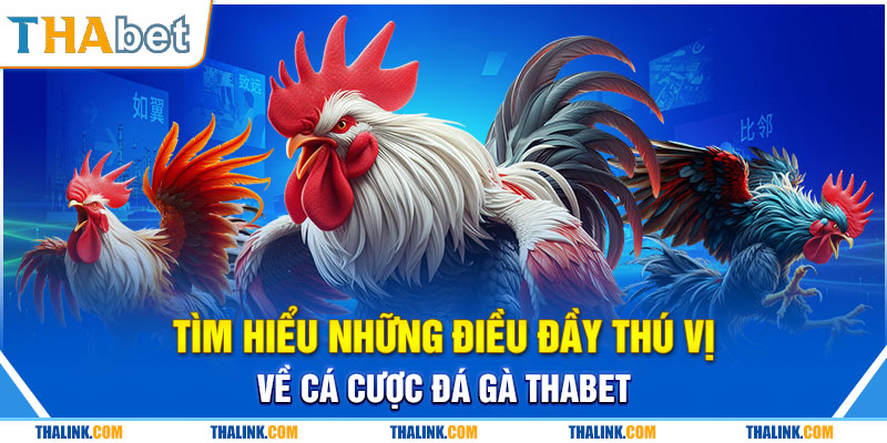 Sân Chơi So Kê Đá Gà Thabet Chất Lượng Bậc Nhất 2024 Tìm hiểu những điều đầy thú vị về cá cược đá gà Thabet